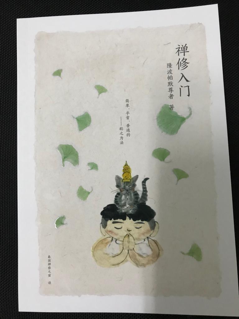 禅修入门(隆波帕默尊者) 简体版  0.1kg 免费