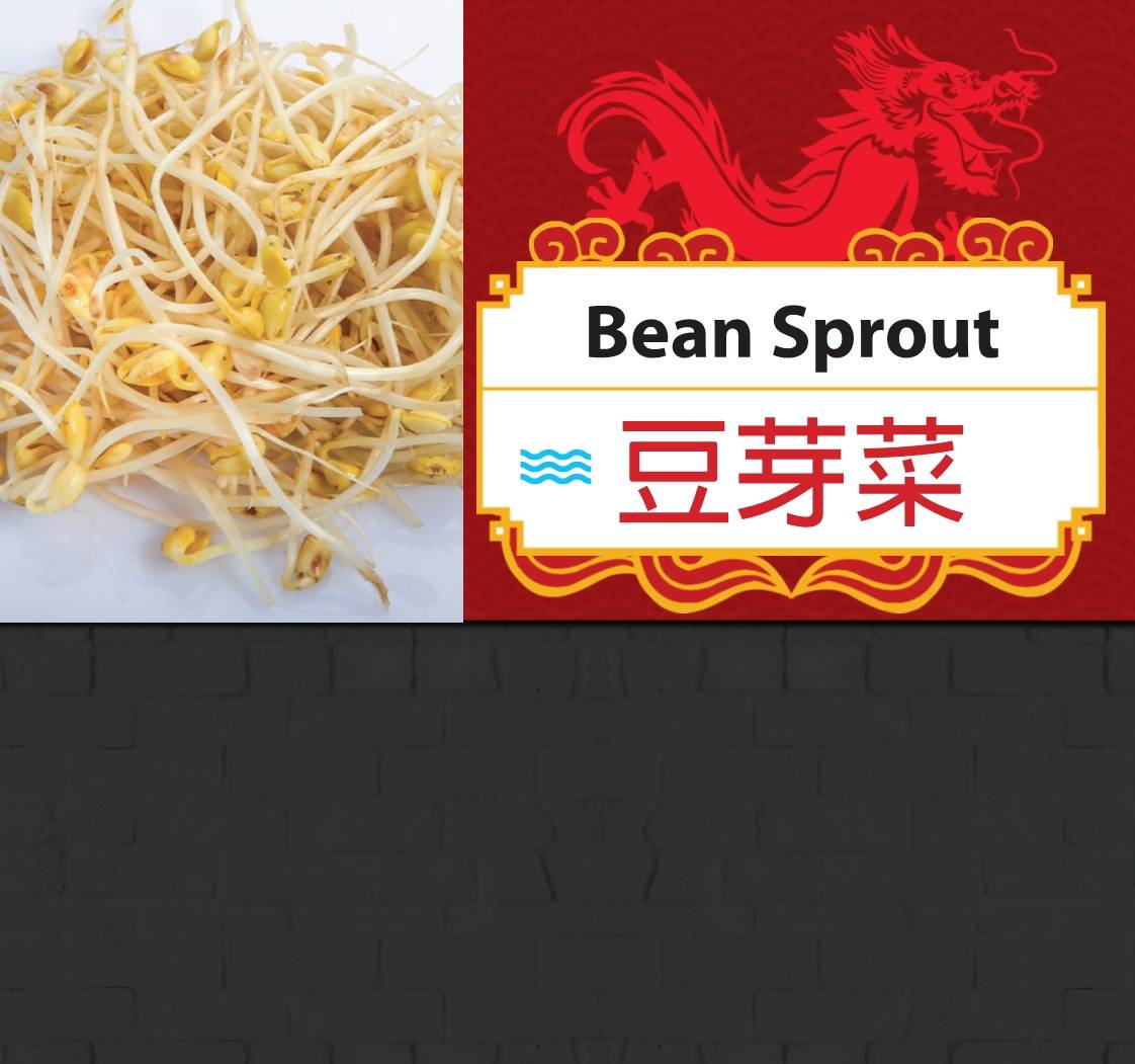 豆芽菜 bean sprout 免费